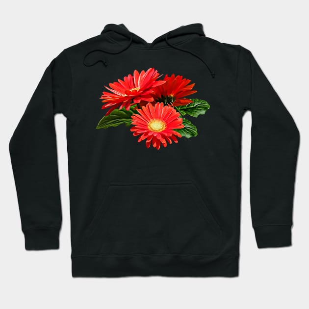 Red Gerbera Daisy Trio Hoodie by SusanSavad